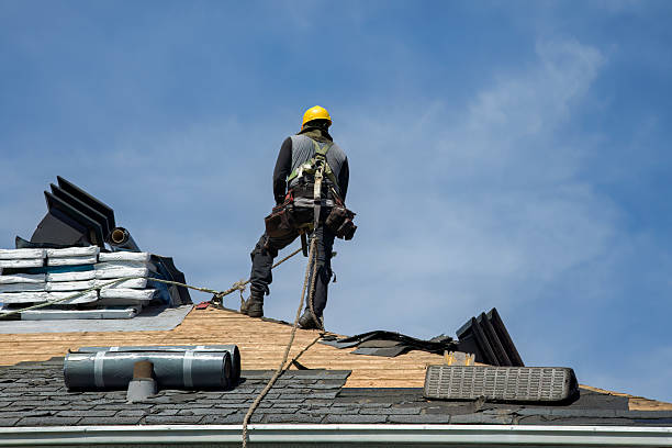 Professional Gutter Installation technician working in Fort Valley, AZ